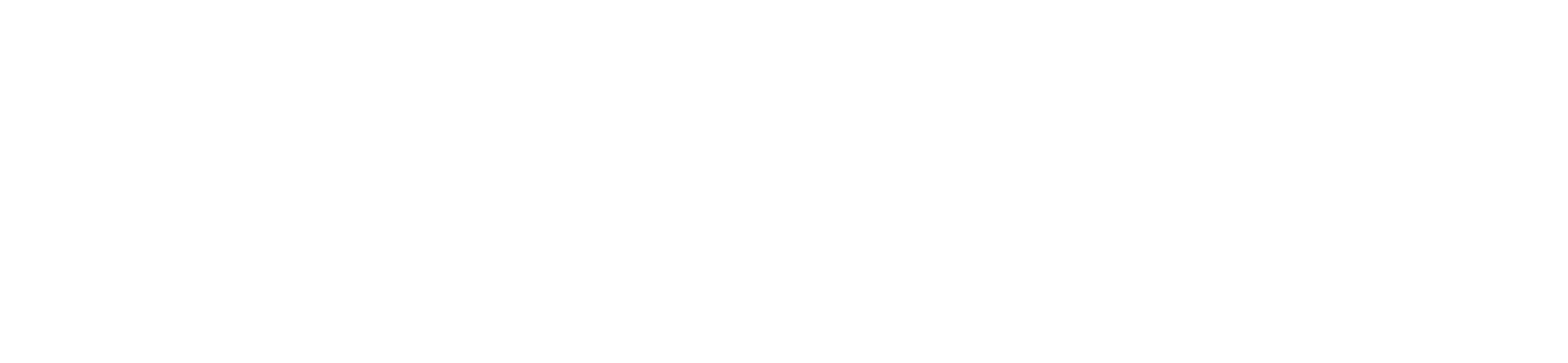 SamsungPay