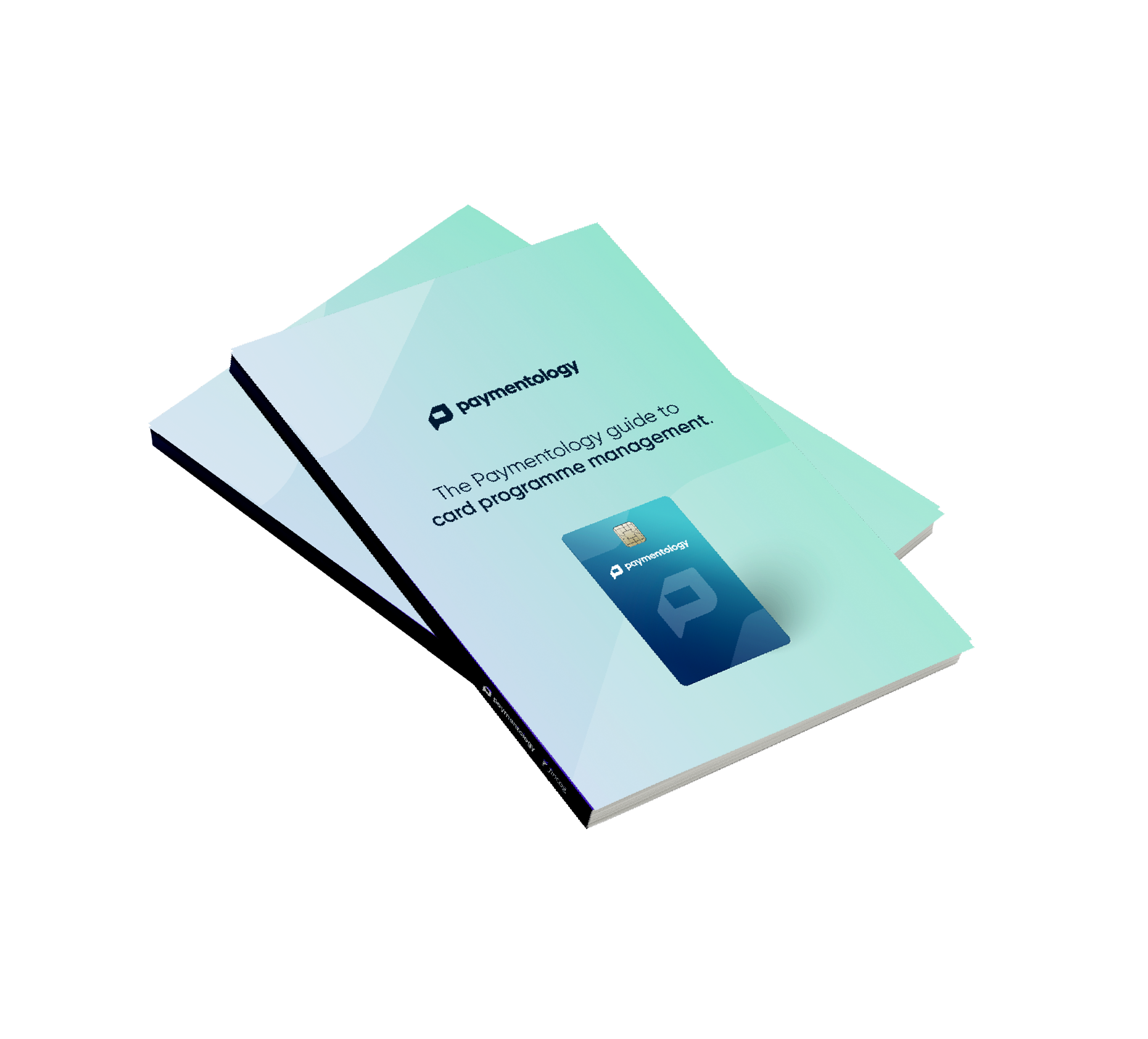 Paymentology_Guide_Card Programme Management_mockup